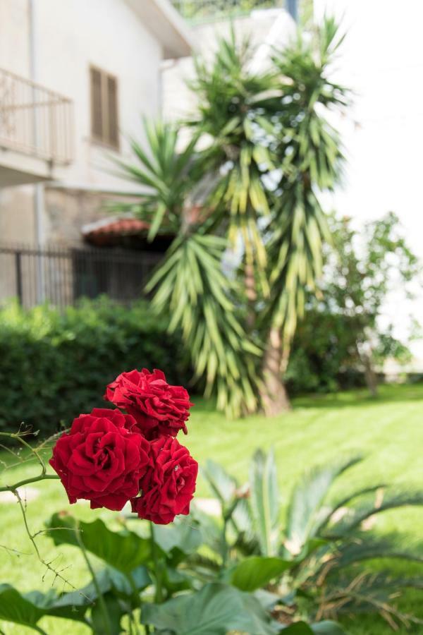 L'Oasi Di Giorgia Bed & Breakfast Cittadella del Capo Eksteriør bilde