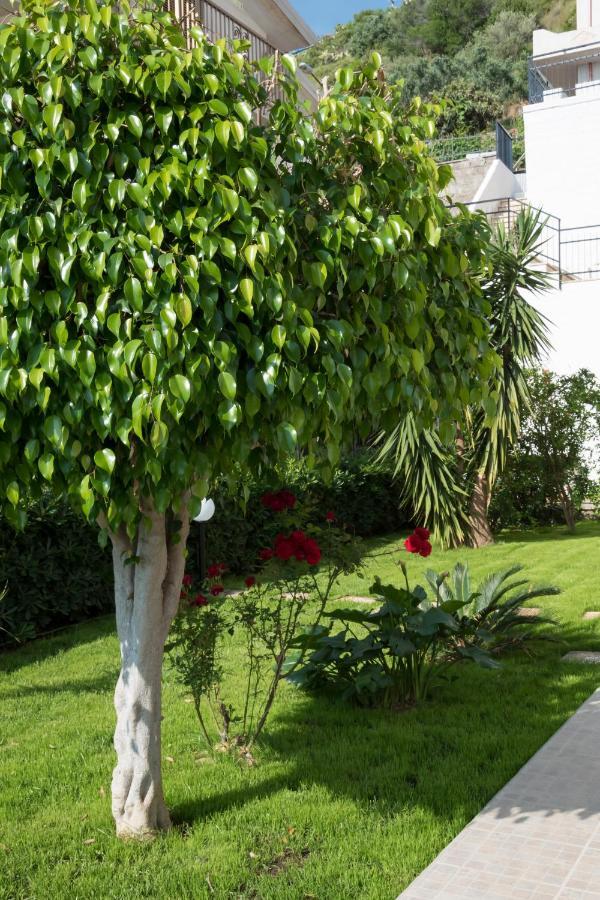 L'Oasi Di Giorgia Bed & Breakfast Cittadella del Capo Eksteriør bilde